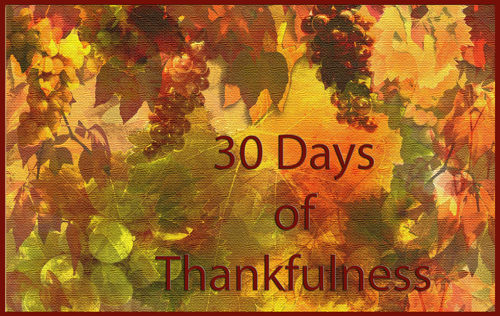 30_days_of_thankfulness_button_500